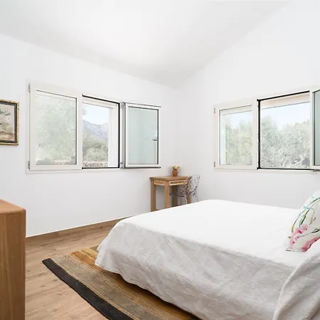 Piricone Holiday home *